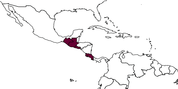 map of Saygorytes tritospilus     (Bohart, 1969)